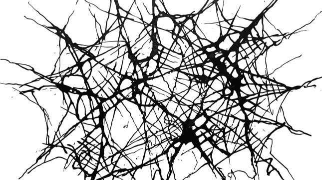 Black ink splatter web on white background with tangled expressive lines.