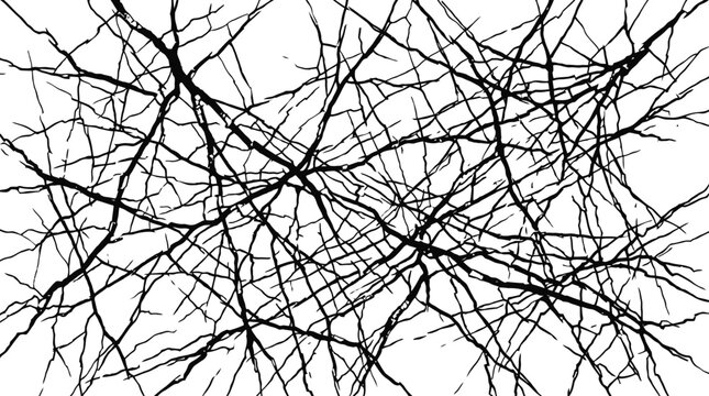 Black tangled ink lines on white background.