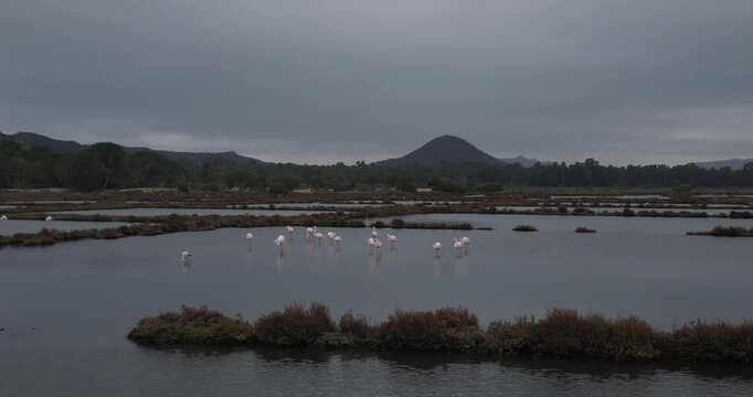 The saltworks of Porto-Vecchio (Salines de Porto-Vecchio) on the southeast coast of Corsica.