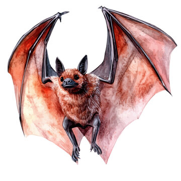 watercolor of Bat, vector, isolated on a white background.