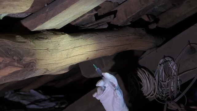 Professional injecting woodworm treatment into an old wooden beam