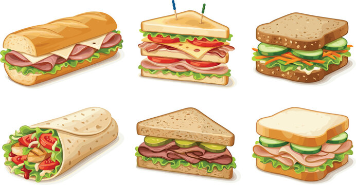 Assorted Sandwich Vector Set Including Club Sandwich Submarine Roll Chicken Wrap Healthy Whole Grain and Deli Sandwiches with Fresh Lettuce Tomato Cheese and Meat