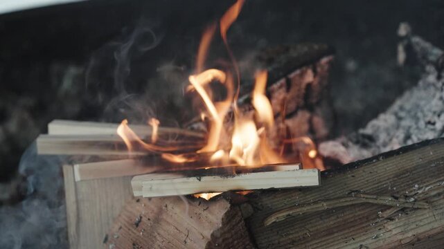 Burning Firewood with Flames and Smoke in Outdoor Setting