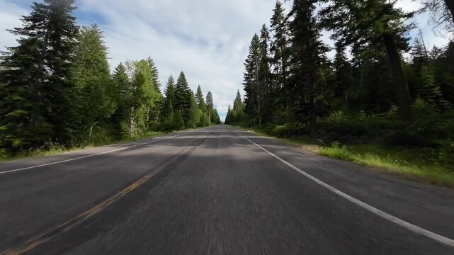 Oregon Cloudy Forest Road 05 Front View Klamath Falls Driving Plates Oregon USA Ultra Wide