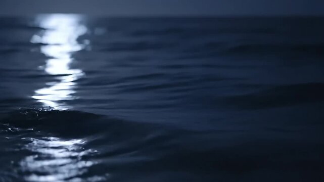 Night Ocean Waves Reflect Moonlight Across Dark Sea.