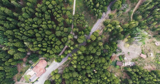 Aerial view of a narrow road winding through a dense evergreen forest with tall pine trees and small rural buildings in Vallombrosa, Tuscany, Italy.