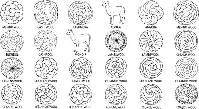 Diagram of Wool and Animal Fiber Textures: A Comprehensive Visual Guide with Labeled Patterns for Merino, Cashmere, Mohair, Alpaca, and Icelandic Wool
