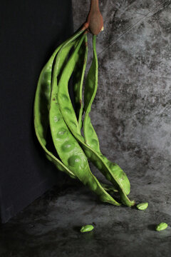Stink bean or bitter bean on black background. Organic produce commonly used in Asian cooking and street food