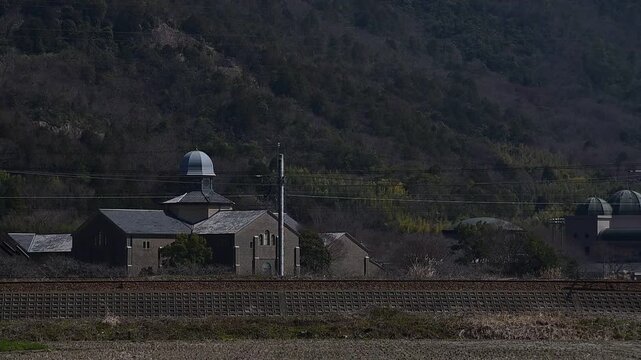 春の安土を通過するEF210牽引の貨物列車（東海道本線 安土 - 近江八幡, 2026年3月）