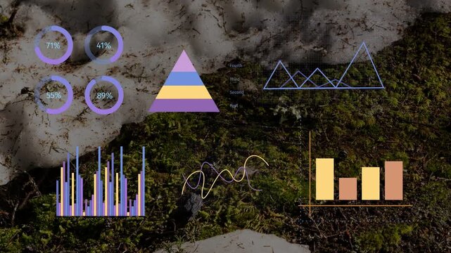 Digital dashboard updating on update, donuts filling, pyramid forming, wave moving showing trends