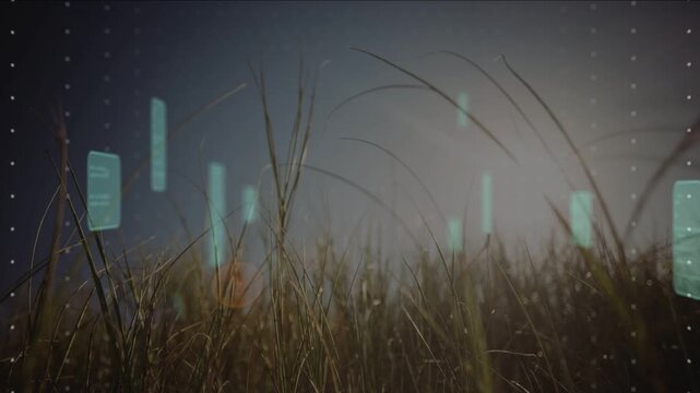 Backlight causing teal panels appearing and drifting while grasses swaying, creating augmented sky