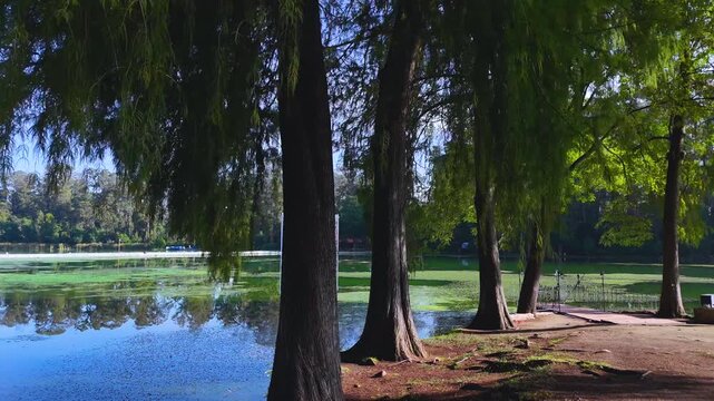 Chautla, Puebla: Gillow Castle, situated in the middle of a tranquil lake on the former Hacienda de Chautla. The historic building is perfectly reflected in the water, surrounded by a dense forest.