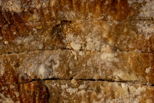Close-up of moldy sliced bread loaf  on white background. Spoiled homemade bread with visible fungus and decay texture, concept of food waste, contamination, expired bakery product