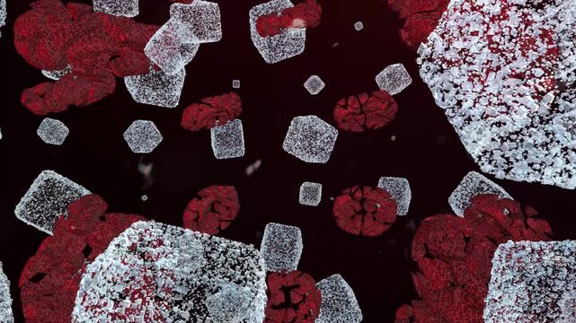 High blood sugar damaging red blood cells in hyperglycemia