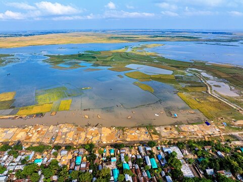 Kishoreganj, Bangladesh March 05 2026: Flood-affected farmers harvest half-submerged Boro paddy in waist-deep water, racing to save crops as rising haor waters threaten total loss.