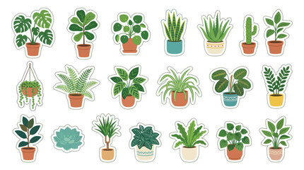 Collection of various potted houseplants. © zulvida