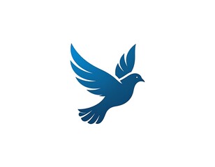 Fototapeta premium A blue bird in flight
