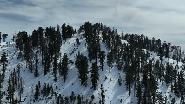 Snowcrest Aerial Shot of Winter Mountain Snow Summit Telephoto L California USA