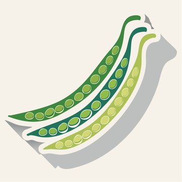 Stylized illustration of three green bean pods with peas