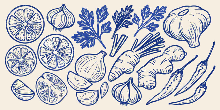 Culinary ingredients illustration citrus garlic herbs and spices in blue tones