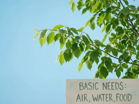 Sign listing basic needs for living things, air, water, food, under a tree with green leaves and a clear blue sky