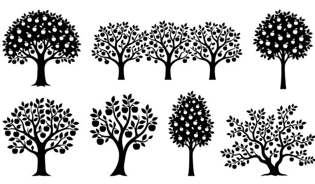 Apple tree silhouette collection with leafy fruit orchard trees isolated on white background