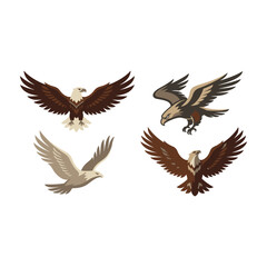 Fototapeta premium Four eagles flying in different directions