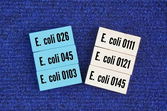What is the big six in food? E. coli O26, O45, O103, O111, O121, and O145. These six serogroups are the most frequently identified serotypes associated with foodborne illness in different countries.