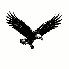 Fototapeta premium Black Silhouette of a Soaring Bird Flying Against White Background Illustration