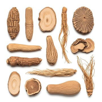Set of raw ginseng roots and slices for medicine