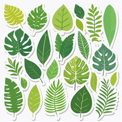Fototapeta premium Collection of Green Tropical Leaves Stickers