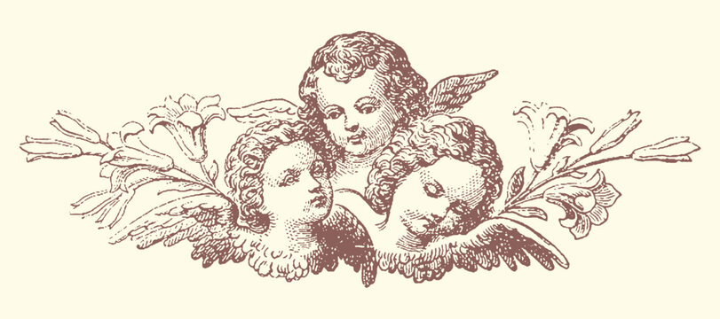 Antique illustration of cherubs and foliage with baby angel vintage cherub antique drawing ornamental design decorative element graphic ornament hand drawn line art angelic illustration