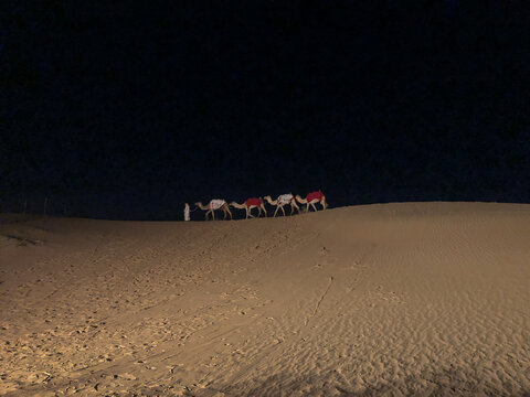 View of a caravan of camels with red saddles walking across sand dunes at night led by a person in traditional white clothing in Dubai, Dubai, United Arab Emirates.