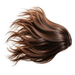 Fototapeta premium wavy brunette hair strand with natural highlights isolated on transparent background