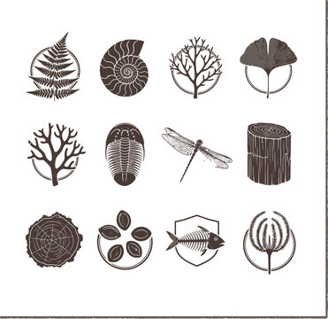 Collection of various fossil icons.