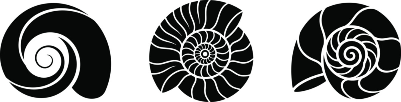 Spiral shell silhouette vector illustration set showing smooth, segmented, and organic ammonite-inspired designs for creative use