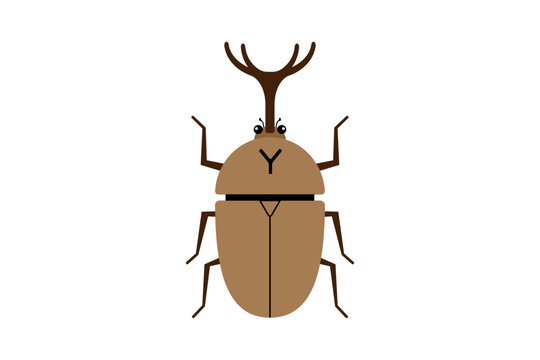 オスのカブトムシのイラスト