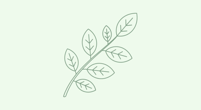 Simple Line Drawing of Leaf Branch.