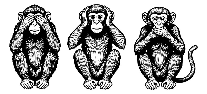 Three wise monkeys covering eyes ears and mouth with serious expression in a vintage black and white detailed illustration