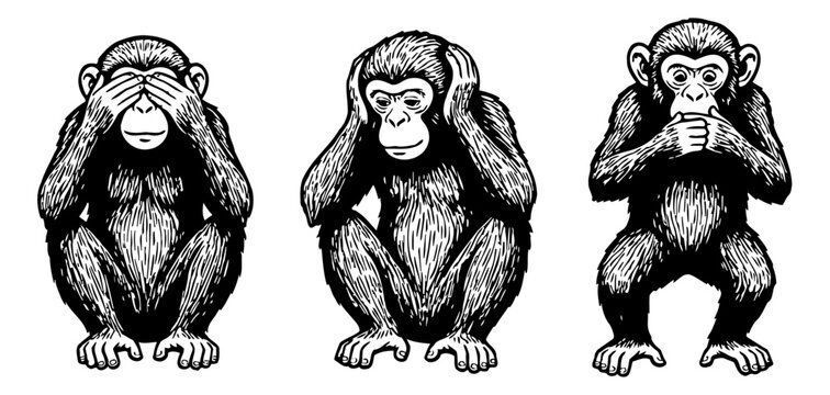 Three wise monkeys depicting see no evil hear no evil speak no evil in an iconic pose black and white illustration