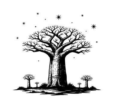 Magnificent Baobab Tree with Bare Branches and Smaller Trees Under Scattered Stars Black and White Art