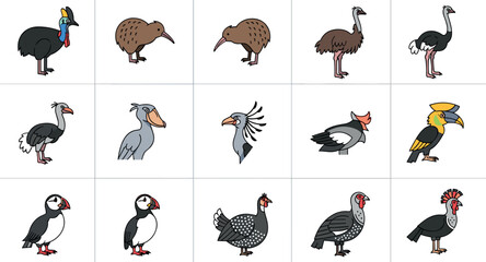 Exotic bird icon set featuring kiwi cassowary ostrich pelican hornbill and puffin in flat cartoon wildlife style © MDNUR