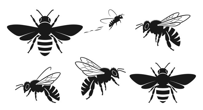 Diverse vector illustrations of bees in various flight and resting poses, capturing the essence of insect life and natural world concepts
