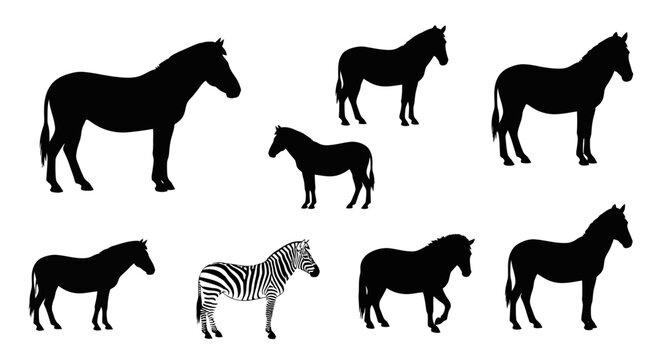 Collection of Horse and Zebra Silhouettes on White Background