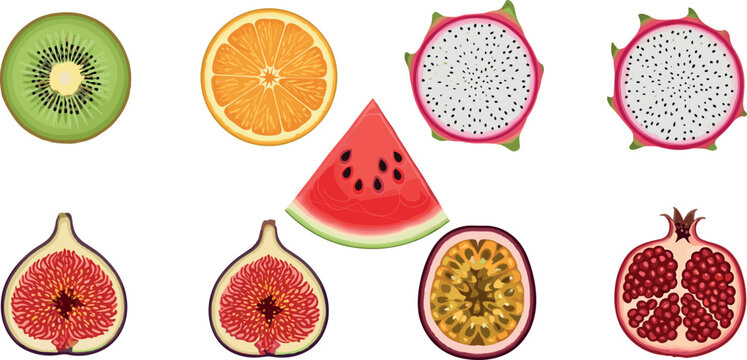 Exotic fruit slice illustration set with kiwi orange dragon fruit watermelon fig passionfruit pomegranate in detailed flat vector style