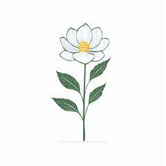 Obraz premium Single stem flower line art, delicate thin outline, minimal composition, modern botanical illustration