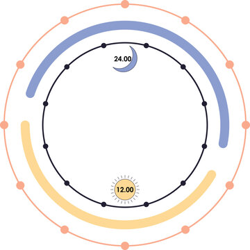 Circadian rhytm cycle diagram illustration. The 24 hours biological body clock cycle for healthy, hormonal, sleep schedule. Vector isolated