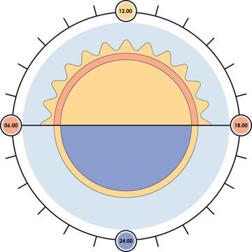 Circadian rhytm cycle diagram illustration. The 24 hours biological body clock cycle for healthy, hormonal, sleep schedule. Vector isolated