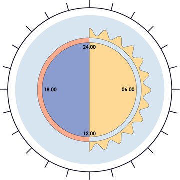 Circadian rhytm cycle diagram illustration. The 24 hours biological body clock cycle for healthy, hormonal, sleep schedule. Vector isolated