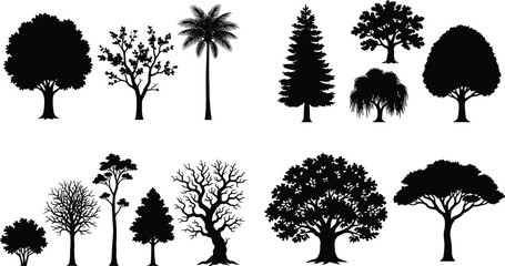 Fototapeta premium Collection of Tropical and Forest Tree Silhouettes Isolated on Gray Background for Nature and Landscape Design